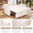 60-Inch Sofa Bed “3-In-1 Convertible Sofa Bed, Cushion Sofa, Pull-Out Bed, 2-Seater Sofa With Pockets, Adjustable Backrest and Pillow, Living Room Apartment (Button Tufting)-2069726138