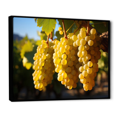 «Golden Grapes Vineyard II», reproduction sur toile