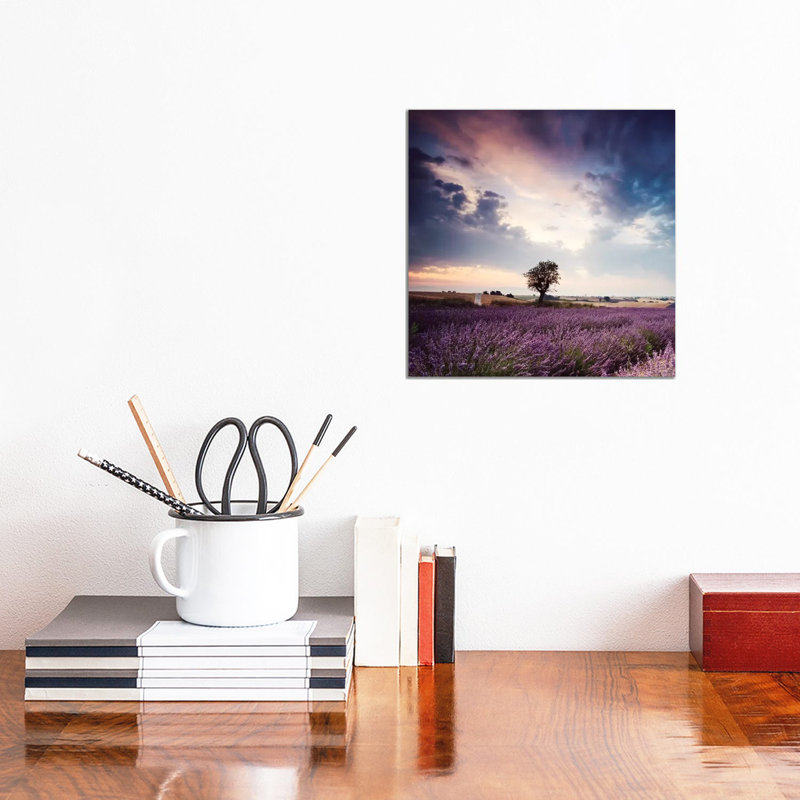 Tree In Lavender Field, Provence by Matteo Colombo - Wrapped Canvas Print, 30.48 cm H x 30.48 cm W