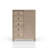 5 Drawer Door Chest