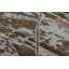 Hand-Knotted High-Quality Multi-Colored Area Rug