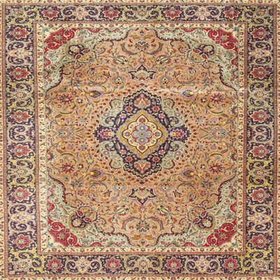Oriental Indoor Rug