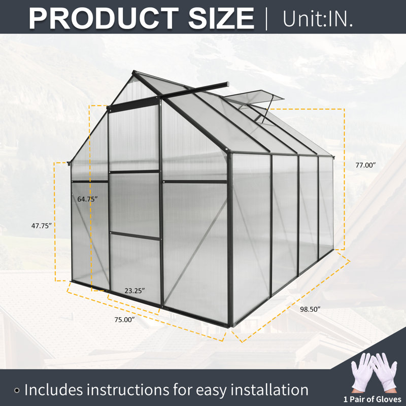 Serre en polycarbonate 6 x 8 pour l'extérieur noir