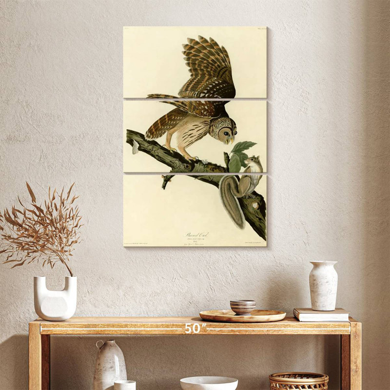 Chouette rayée d'oiseaux d'Amérique, H 38 po x l 24 po