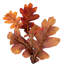 Vickerman 60" Orange Autumn Oak Leaf Garland. It measures 60 by 9 inches.