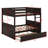 Bunk Bed With Trundle-1960121394