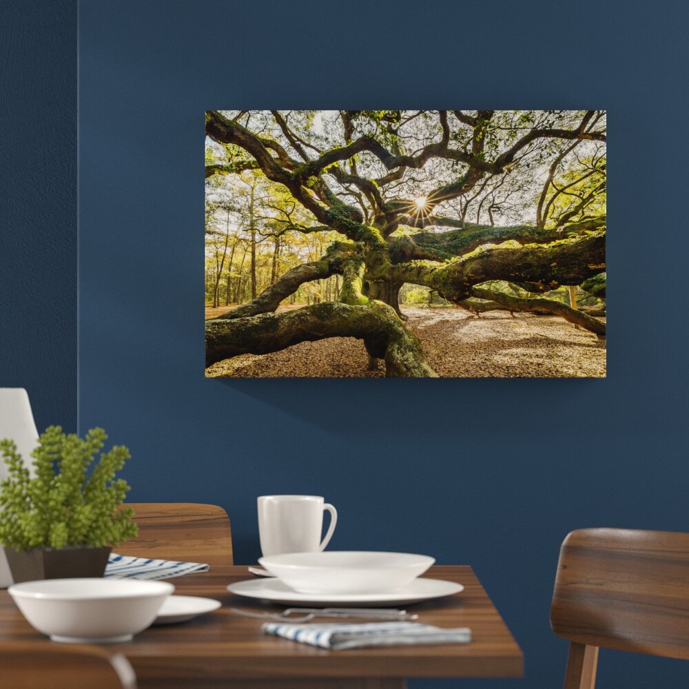 Leinwandbild Gigantisch verzweigter Baum