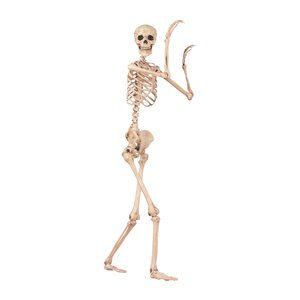 The Holiday Aisle® Pose-N-Stay Skeleton & Reviews | Wayfair