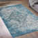 Blocher Oriental Indoor Rug