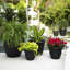Pot à fleurs intérieur / extérieur Traditional-927975566-927975675