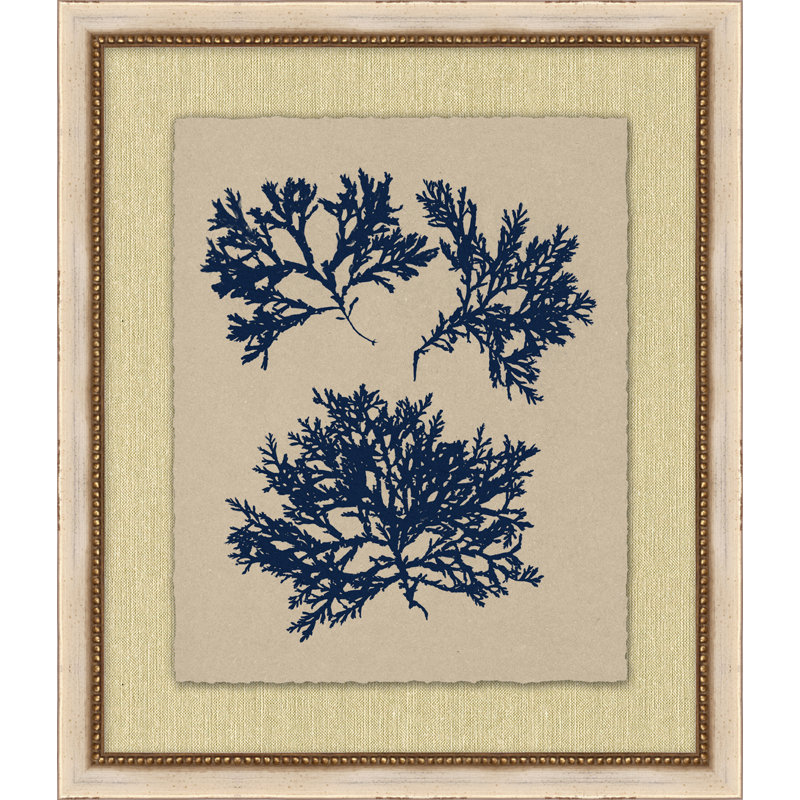 Small Navy Sea Fan 3 Print