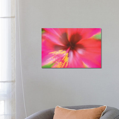 Pink Hibiscus Flower 1 Piece Wrapped Canvas Wall Art