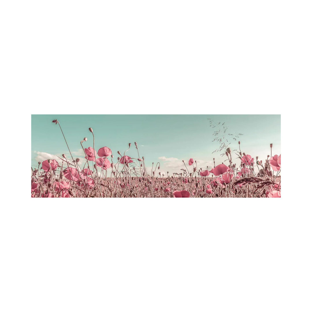 Lovely Poppy Field | Vintage by Melanie Viola - Wrapped Canvas Panoramic Print