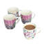Exotic 4 Piece Mug Set
