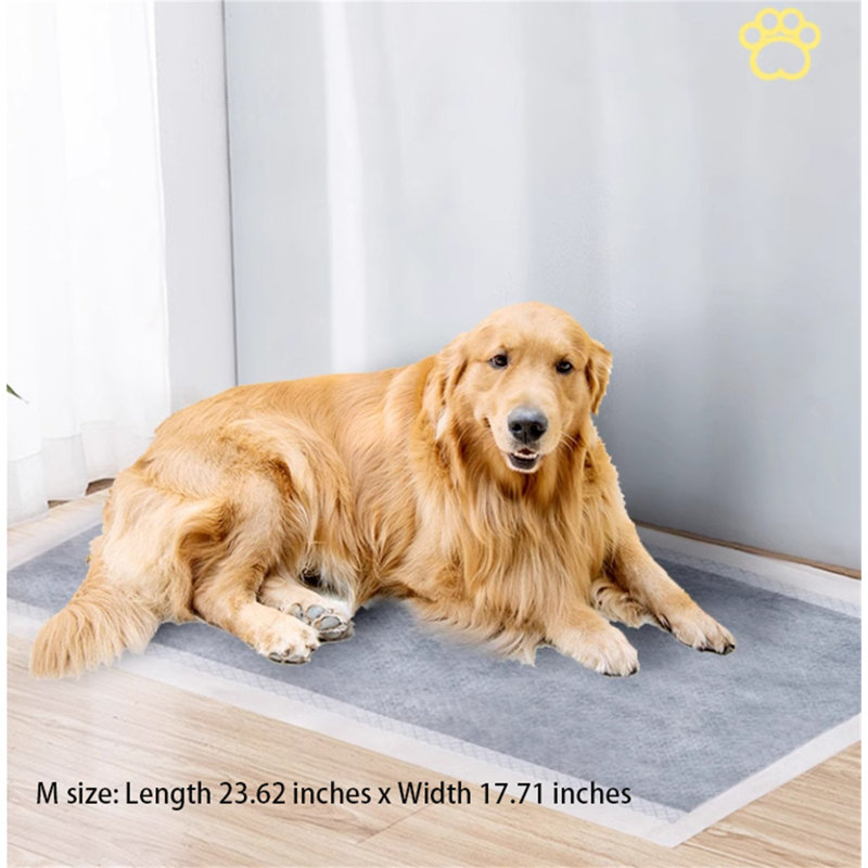 Winchelsea Orthopedic Polyester Pet Bed