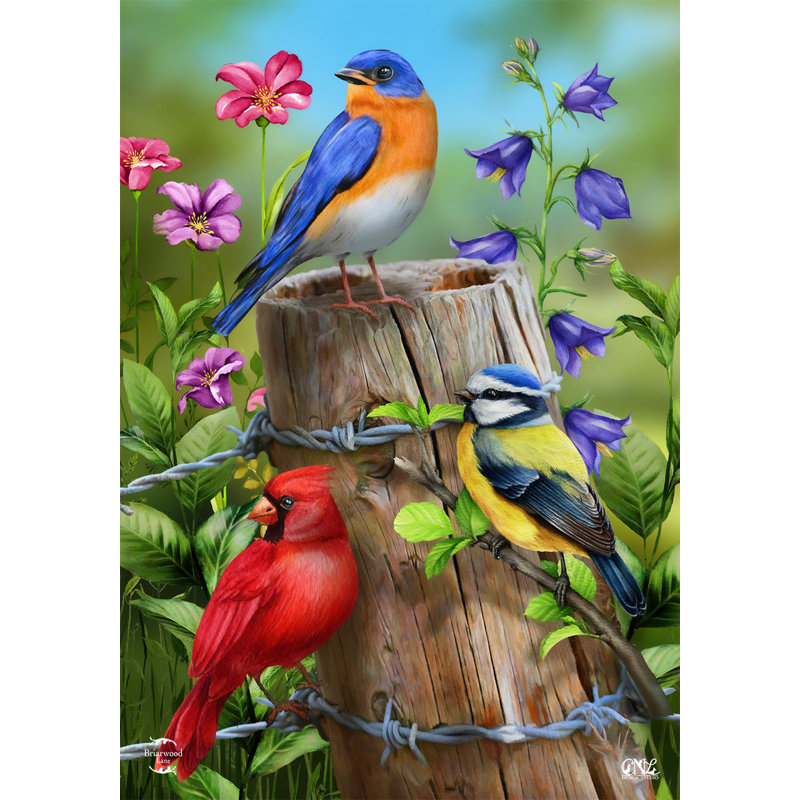 Drapeau de maison d'oiseaux de clôture