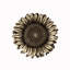 Sunflower Cabinet Knob-27118637
