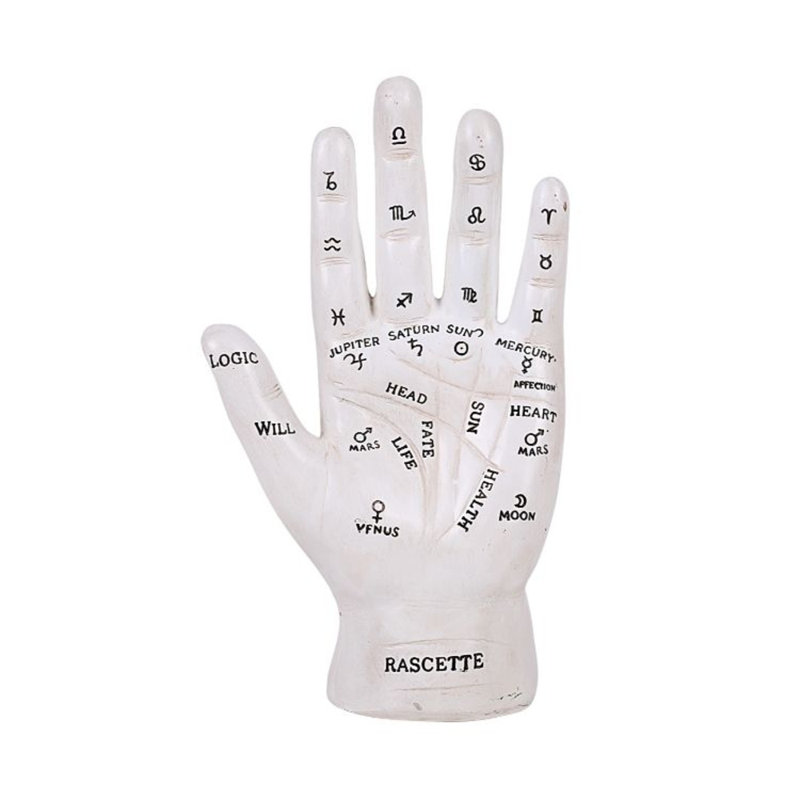 Diagramme de divination à main fortune teller psychic palmistry Zubair