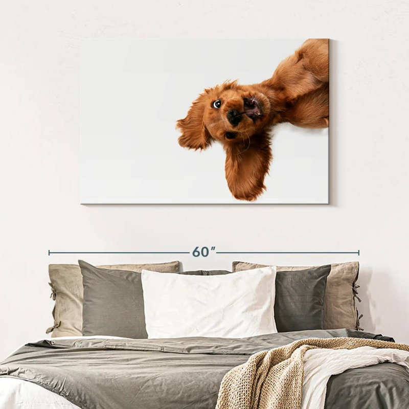 Brampt Happy Cocker Spaniel Puppy, 32" H x 48" W