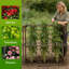 Cadre de support de treillis pour jardin d'extérieur pour légumes grimpants Cadre en bois de tomate canneberge avec 5 cages