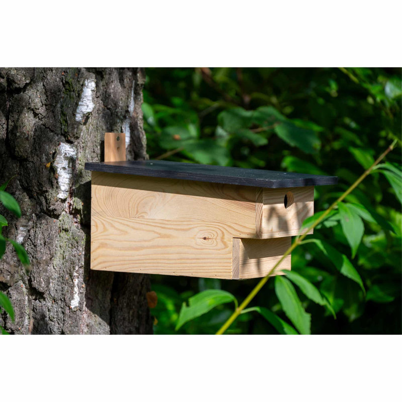 Mounted Bird House