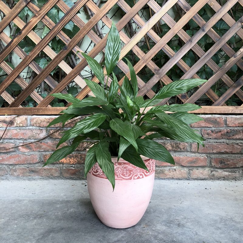 Grand pot de fleurs en rebord fantaisie Newlyn, H 9 po x l 8 po x P 8 po, Rose clair