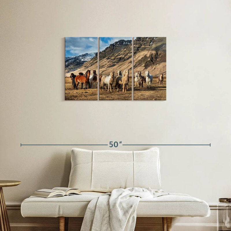 Brampt, chevaux islandais à la campagne, H 20 po x l 33 po