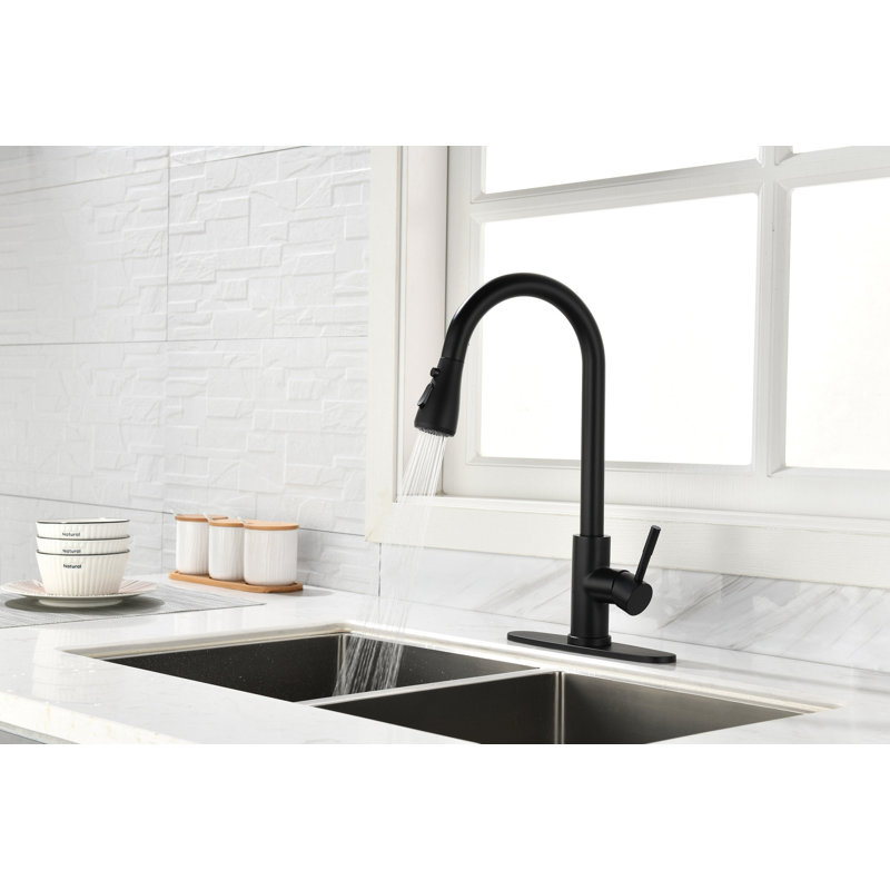 Kitchen Faucet With Pull Out Spraye
