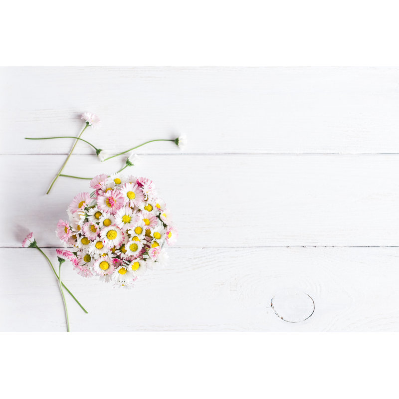 Daisy Flowers - Wrapped Canvas Print, 30cm H x 46cm W x 3.8cm D