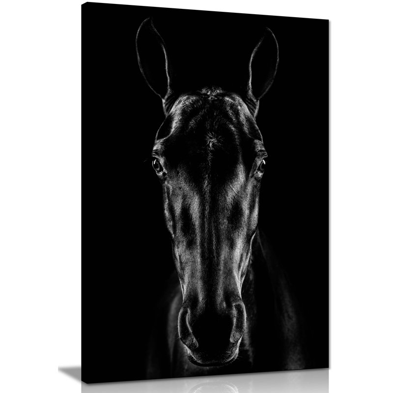 Black Horse In The Dark Artistic - Wrapped Canvas Print, 31cm H x 20cm W