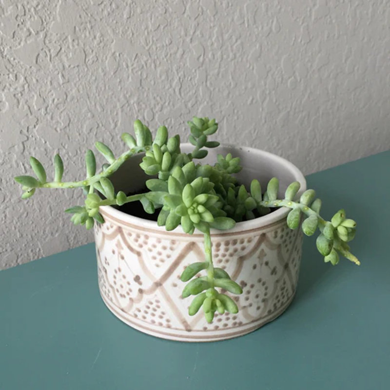 Handmade Ceramic Pot Planter, Gray