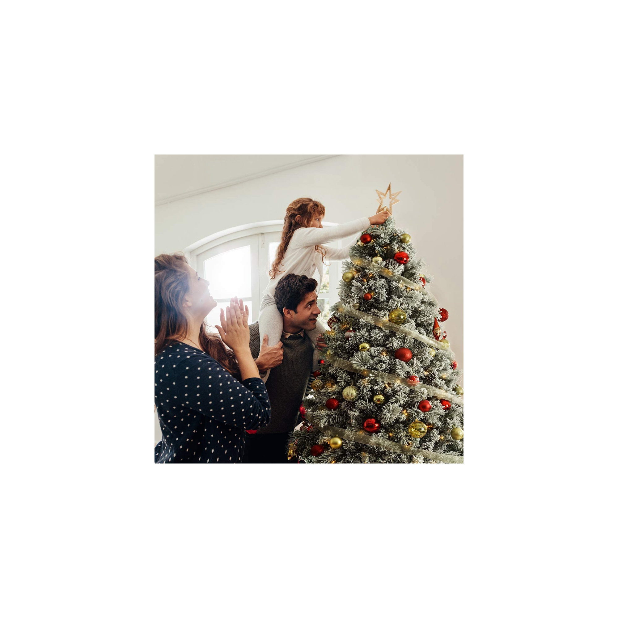 Realistic Fir Flocked Christmas Tree with LED Lights, 9' H