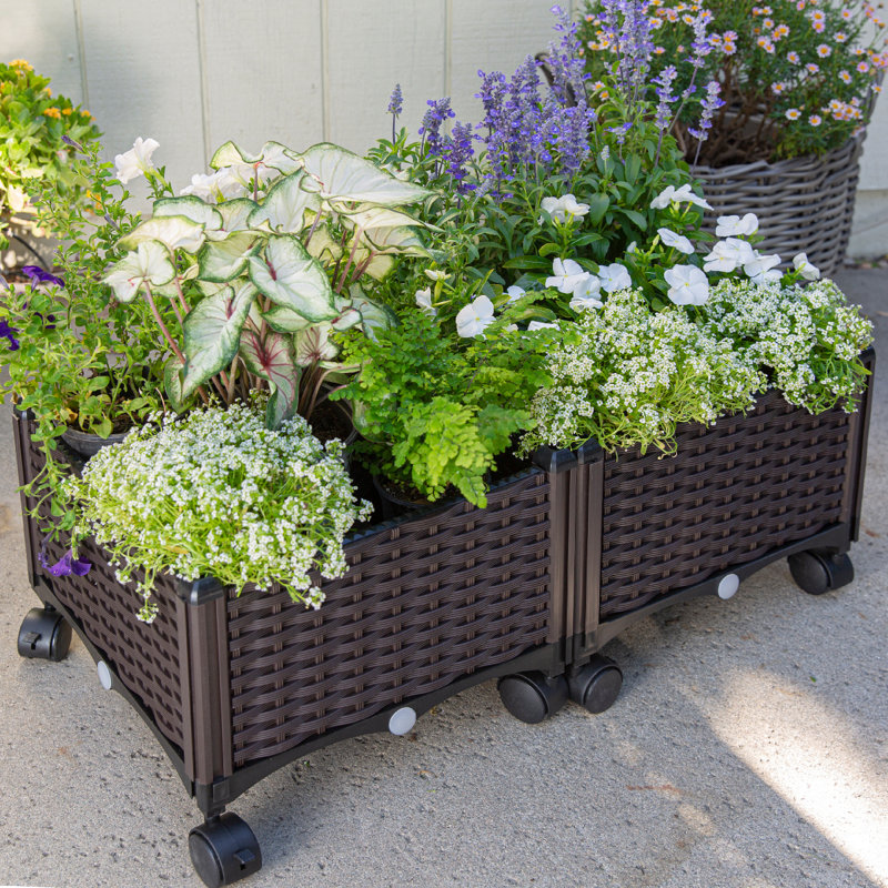 Emma's Elevated Garden Bed by Boerner