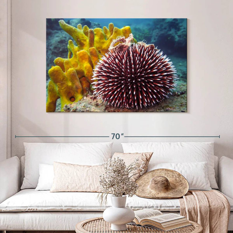 Sea Urchin, H 32 po x l 48 po