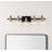 Escondido Iron/Glass Rustic Vintage LED Vanity Light-97602521