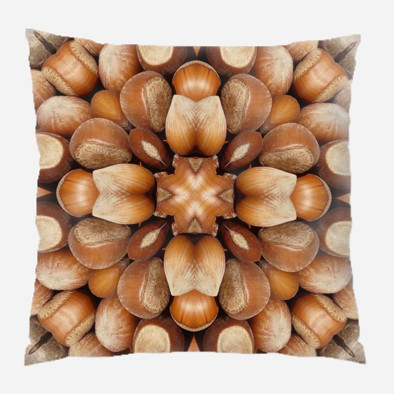 Coussin décoratif art Abstract