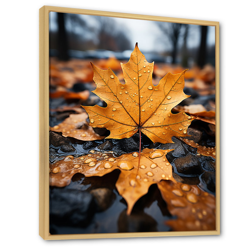 Feuilles d'automne collage I - impression, H 32 po x l 24 po x P 1 po, Cadre naturel flottant