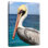 Brampt Pelican Profile