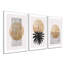 Circular - 3 Piece Single Picture Frame Painting Set on Wood