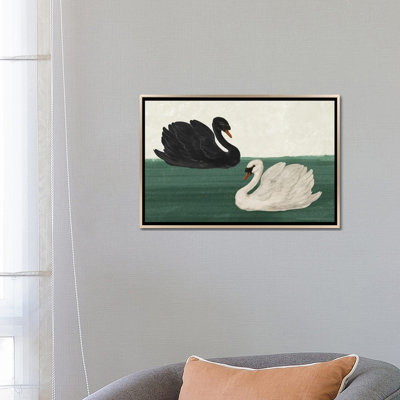Cygne noir cygne blanc_1PC6