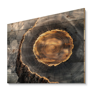 Wood Slide On Stone Emerald  - Forest Wood Wall Decor - On Natural Pine Wood