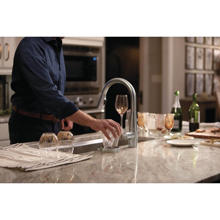 GR250-AR Delta Glass Rinser  Reviews Wayfair