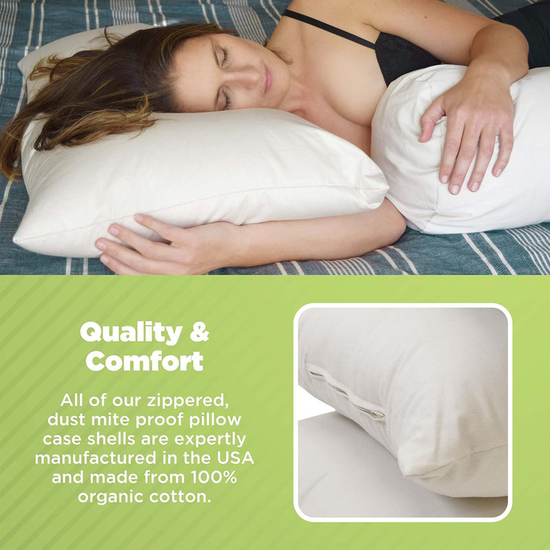 Oreiller de qualité supérieure Euro Kapok - Coussin de cou en tissu de coton biologique pour le soutien et le confort du cou - 18 po x 18 po