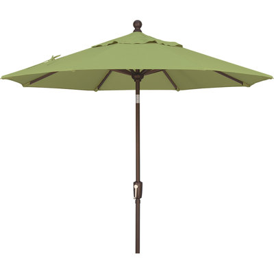 Launceston Market Umbrella