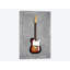 Fender Télécaster 64 - impression sur toile tendue-33361841-72428613-72428628