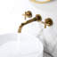 DD-CBFBA7666328-B Wall Bathroom Faucet