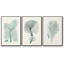 Antique Coastal Coral I, impression sur toile 3 pièces-91887262-91887261