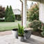 Ensemble de trois pots de fleurs avec motif à carreaux-356571854