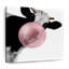Impression sur toile Bubble Gum Cow-92519169