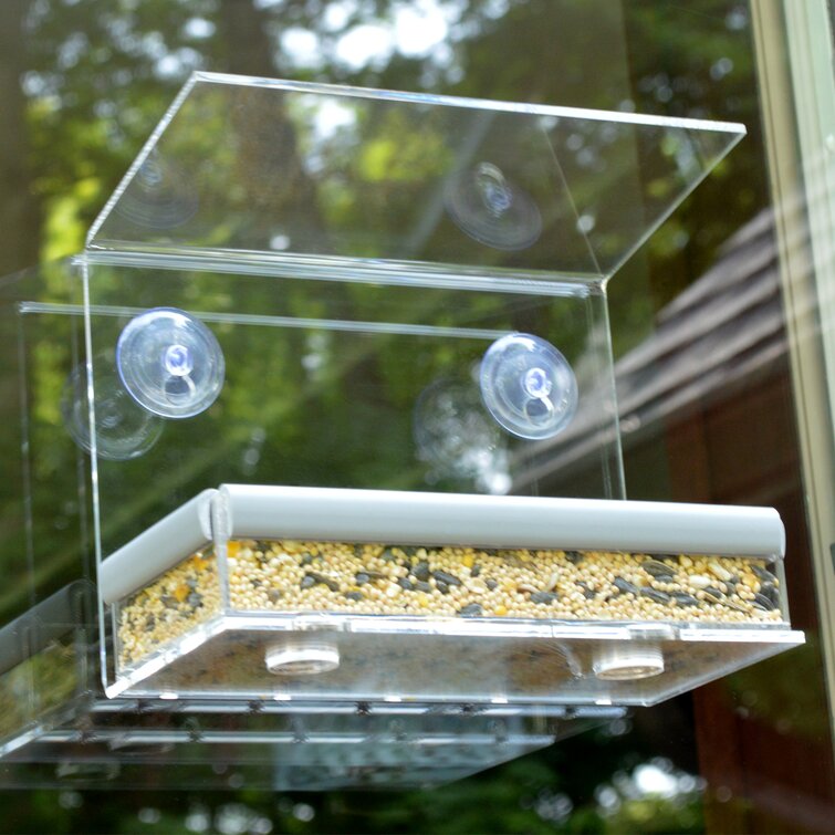 PETFUSION Tranquility Window Bird Feeder 